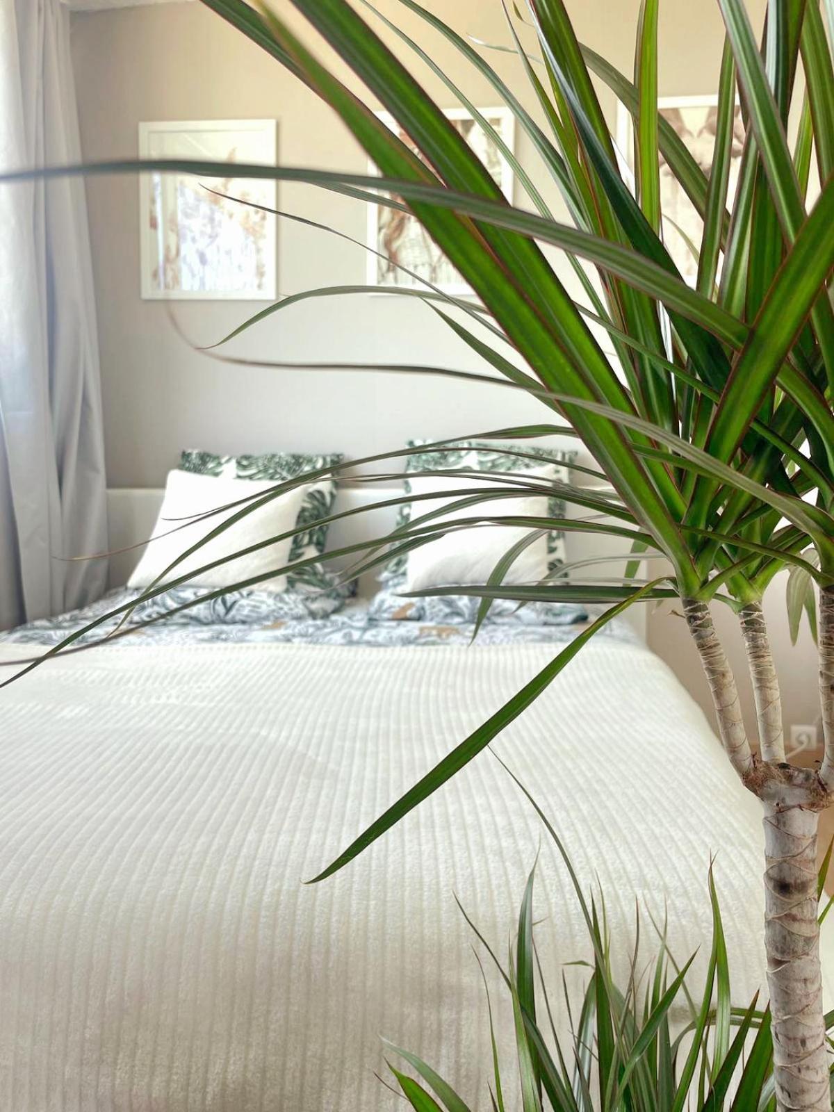 Appartement A La Grande Motte Bagian luar foto